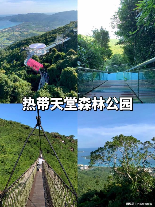 无坑+高性价比解锁你的海岛度假新体验开元棋牌app三亚导游深度推荐：纯玩(图2)